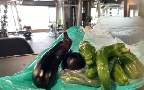 夏野菜🥬🍅🥒🫑🎃🍆🌽