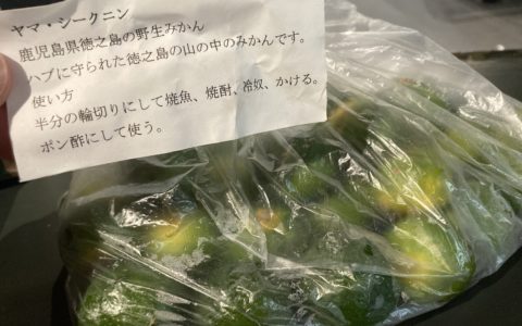 ヤマ・シークニンをご存知ですか？