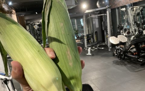 美味しいとうもろこしをいただきました！