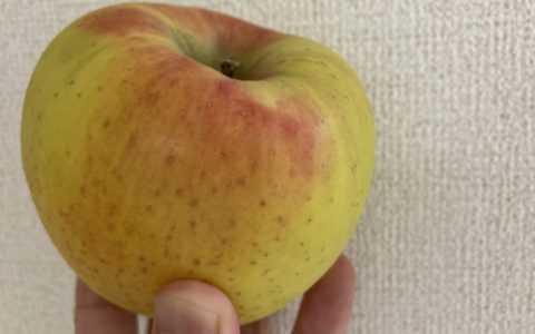 りんご🍎
