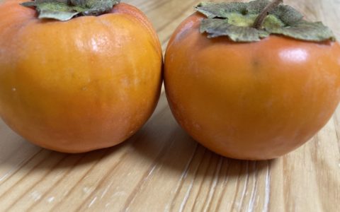 柿をいただきました♪