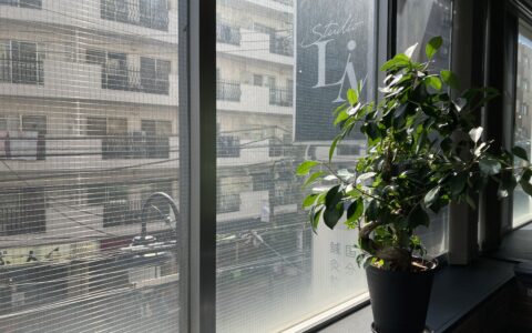 2025年3月の営業スケジュール