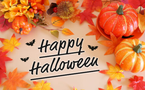 カボチャの栄養素🎃