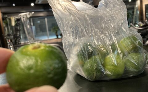 ヤマ・シークニンをいただきました！